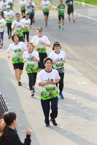 BIB: 
                            <button type="button" onclick="openModal(3551815)" class="btn btn-primary btn-sm float-right btn-popup" data-toggle="modal" data-target=".modal-high-quality">
                        <i class="fas fa-shopping-cart"></i> Add to Cart
                    </button>
                                            <button type="button" onclick="isThisMe(3551815, true)" class="btn btn-success btn-sm float-right btn-popup btn-isme hidden" data-toggle="tooltip" data-placement="bottom" title="นี่คือรูปของคุณใช่ไหม คลิกที่นี่เพื่อเอาเข้าอัลบั้ม">
                        <i class="fas fa-plus"></i> Add to album
                    </button>
                    <button type="button" onclick="isThisMe(3551815, false)" class="btn btn-warning btn-sm float-right btn-popup btn-isnotme hidden">
                        <i class="fas fa-ban"></i> Remove from album
                    </button>